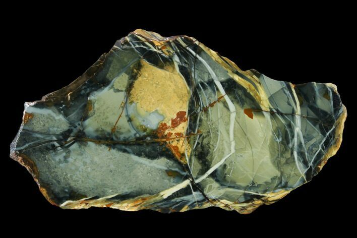 Polished Slab of Morrisonite Jasper - Oregon #150514